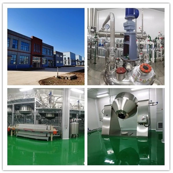 1,7-Dihydroxyethyl-1,7-dicarbacloso-dodecaborane,C6H20B10O2,62270-03-5 best